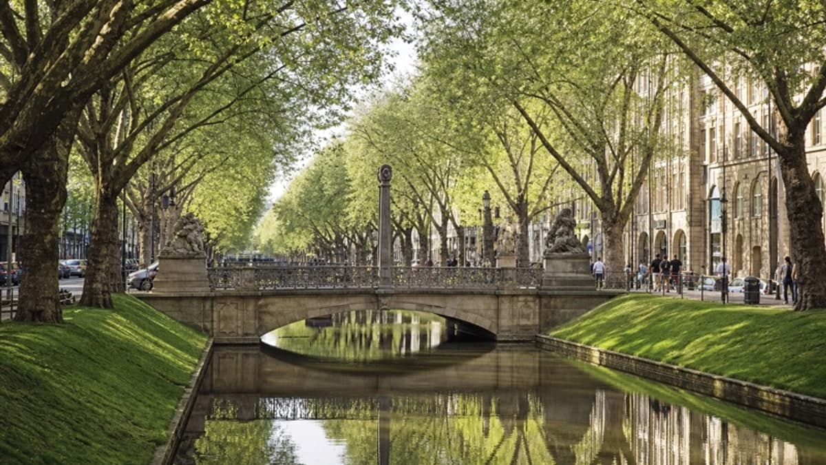 Boutique indipendente a Düsseldorf con piante e luce calda